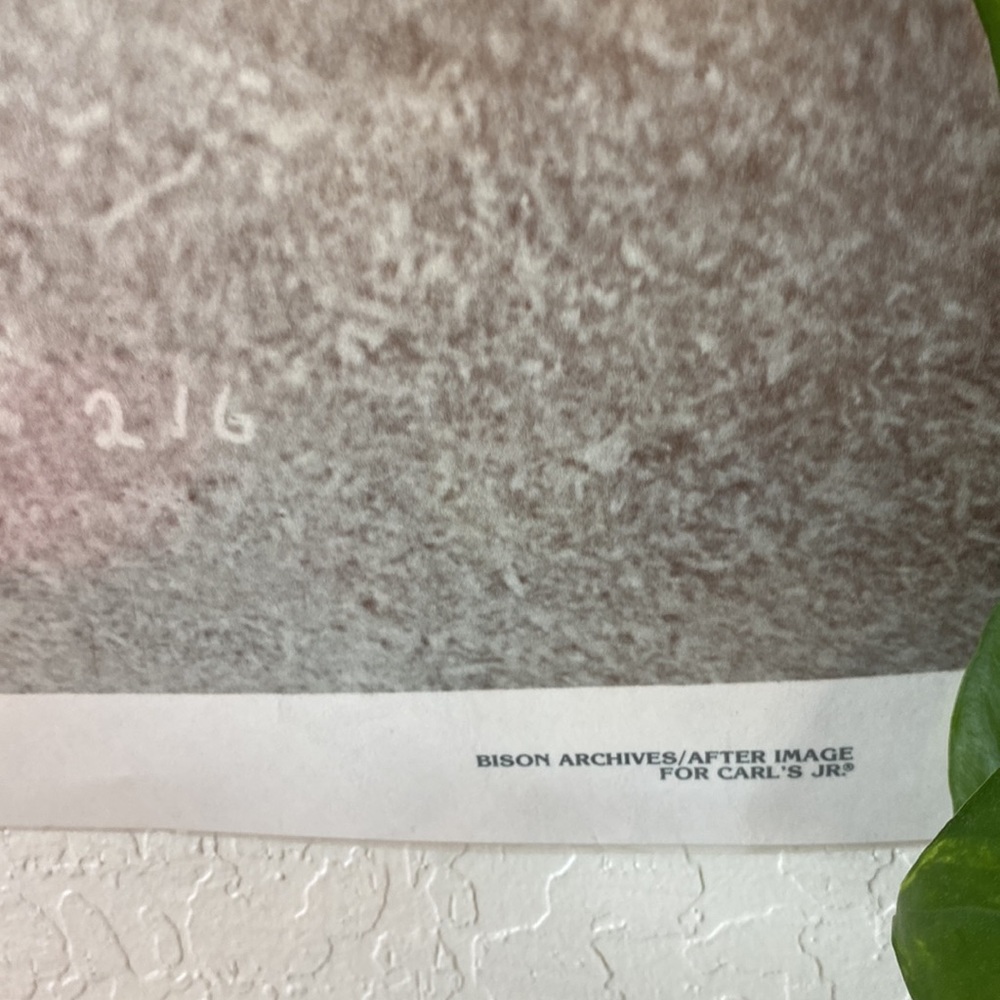 Charlie Chaplin in a classic pose circa 1916 - Picture 3 of 4